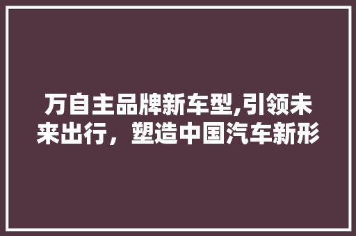 万自主品牌新车型,引领未来出行，塑造中国汽车新形象