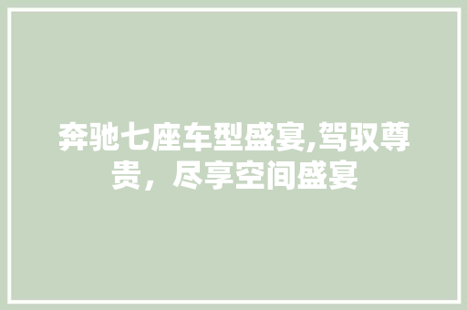 奔驰七座车型盛宴,驾驭尊贵，尽享空间盛宴 车载导航