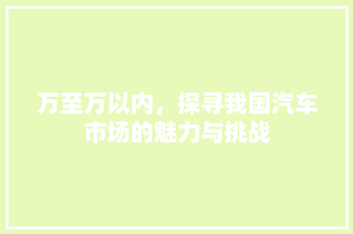 万至万以内，探寻我国汽车市场的魅力与挑战