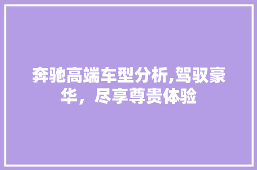 奔驰高端车型分析,驾驭豪华，尽享尊贵体验