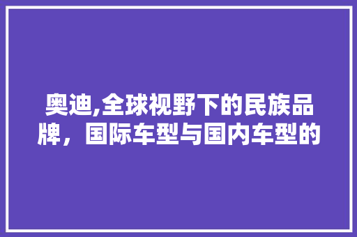 奥迪,全球视野下的民族品牌，国际车型与国内车型的交融与发展 汽车展览