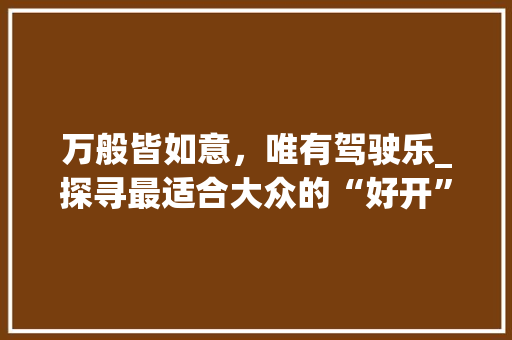 万般皆如意，唯有驾驶乐_探寻最适合大众的“好开”车型