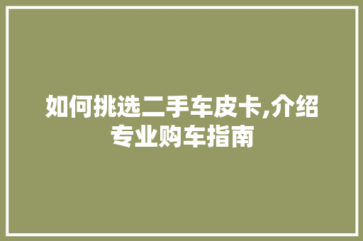 如何挑选二手车皮卡,介绍专业购车指南