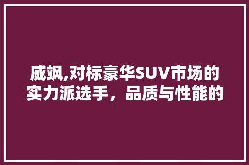 威飒,对标豪华SUV市场的实力派选手，品质与性能的完美结合
