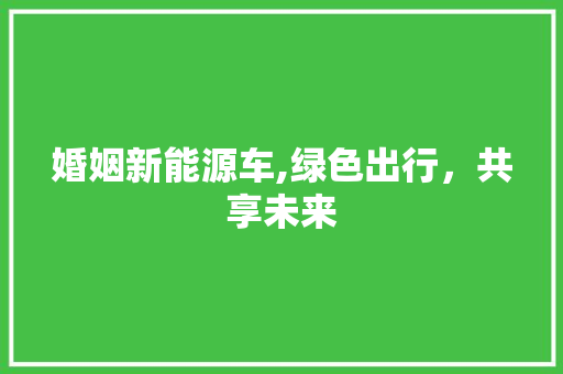 婚姻新能源车,绿色出行，共享未来 车联网技术