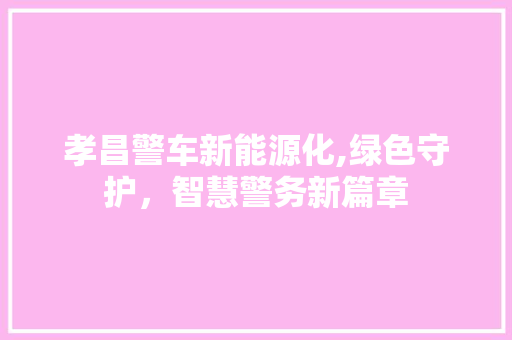 孝昌警车新能源化,绿色守护，智慧警务新篇章 车载导航