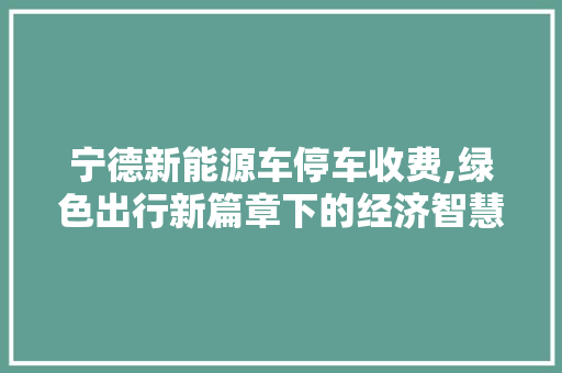 宁德新能源车停车收费,绿色出行新篇章下的经济智慧 新能源汽车