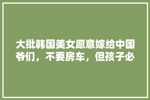 一汽皇冠新款车型,豪华与科技的完美融合