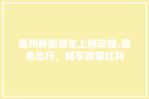 惠州新能源车上牌攻略,绿色出行，畅享政策红利 新能源汽车