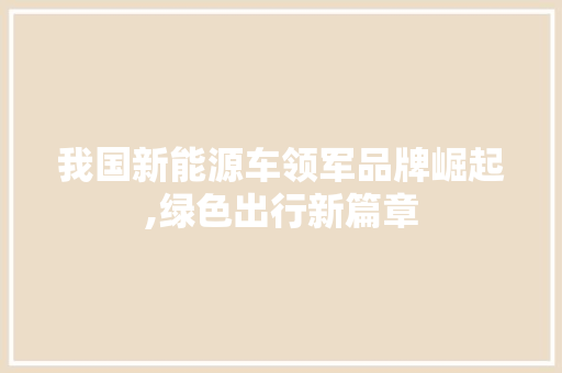 我国新能源车领军品牌崛起,绿色出行新篇章