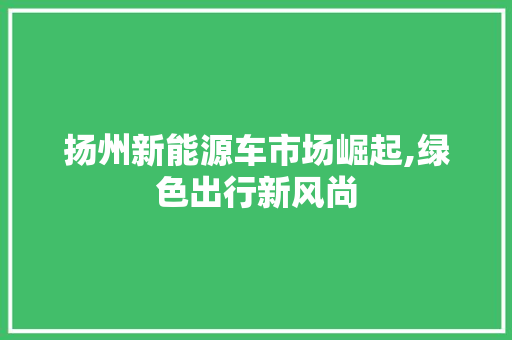 扬州新能源车市场崛起,绿色出行新风尚