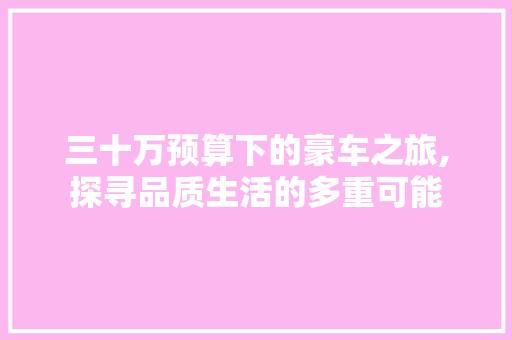 三十万预算下的豪车之旅,探寻品质生活的多重可能