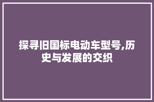 探寻旧国标电动车型号,历史与发展的交织