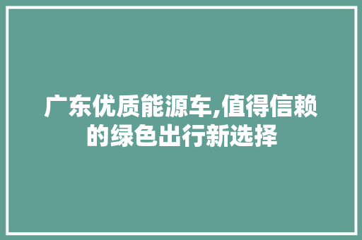 广东优质能源车,值得信赖的绿色出行新选择 汽车展览
