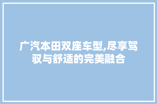 广汽本田双座车型,尽享驾驭与舒适的完美融合 车联网技术