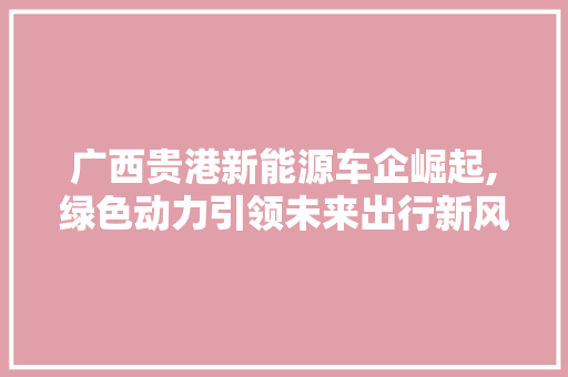 广西贵港新能源车企崛起,绿色动力引领未来出行新风尚