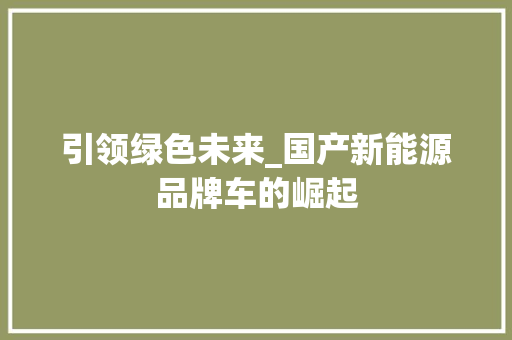 引领绿色未来_国产新能源品牌车的崛起