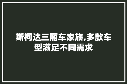 斯柯达三厢车家族,多款车型满足不同需求 车载导航