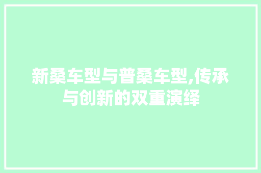 新桑车型与普桑车型,传承与创新的双重演绎 车载导航