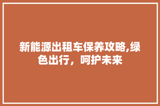 新能源出租车保养攻略,绿色出行，呵护未来