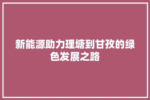 新能源助力理塘到甘孜的绿色发展之路 车型评测