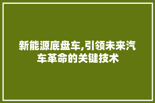 新能源底盘车,引领未来汽车革命的关键技术