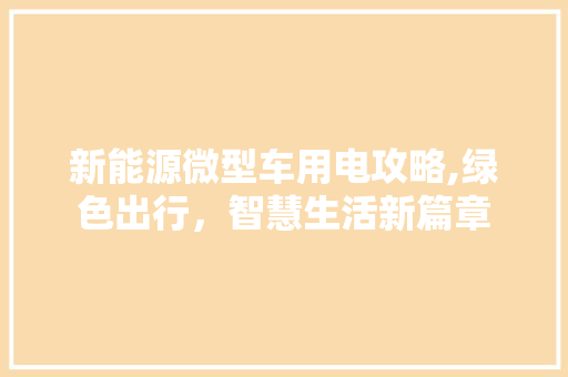 新能源微型车用电攻略,绿色出行，智慧生活新篇章 智能驾驶
