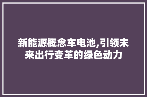 新能源概念车电池,引领未来出行变革的绿色动力 汽车配件