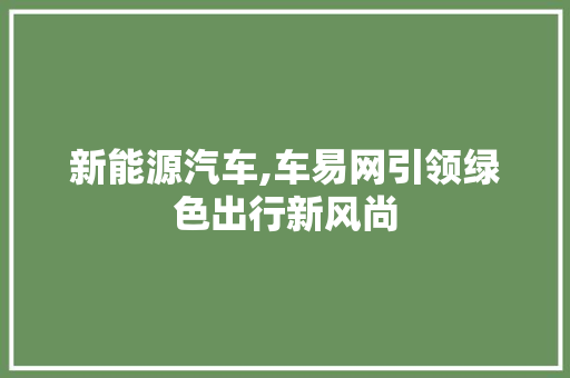 新能源汽车,车易网引领绿色出行新风尚