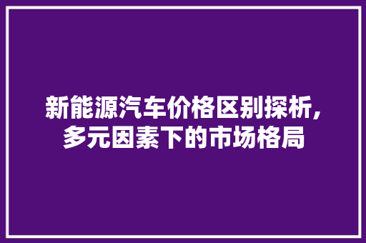 新能源汽车价格区别探析,多元因素下的市场格局