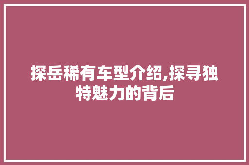探岳稀有车型介绍,探寻独特魅力的背后