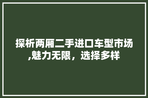 探析两厢二手进口车型市场,魅力无限，选择多样 新能源汽车