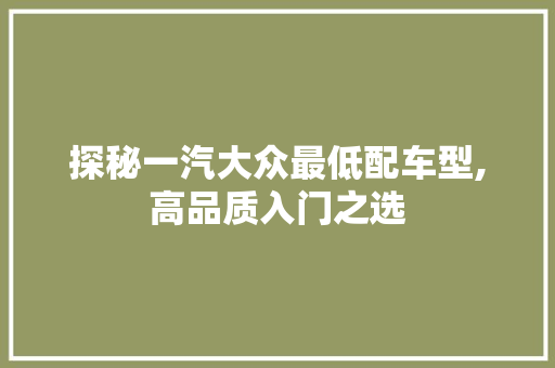探秘一汽大众最低配车型,高品质入门之选