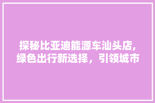 探秘比亚迪能源车汕头店,绿色出行新选择，引领城市环保风尚
