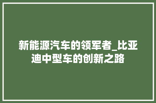 新能源汽车的领军者_比亚迪中型车的创新之路