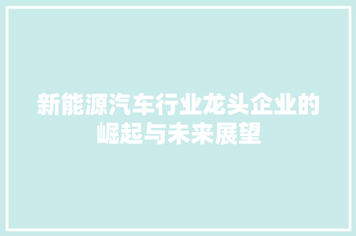 新能源汽车行业龙头企业的崛起与未来展望 混合动力车