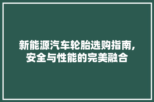 新能源汽车轮胎选购指南,安全与性能的完美融合