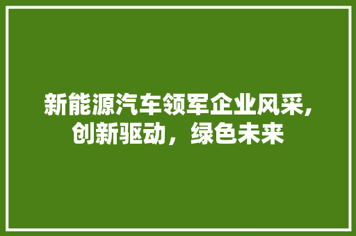 新能源汽车领军企业风采,创新驱动，绿色未来 汽车轮胎
