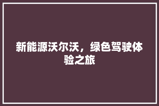 新能源沃尔沃，绿色驾驶体验之旅 新车资讯