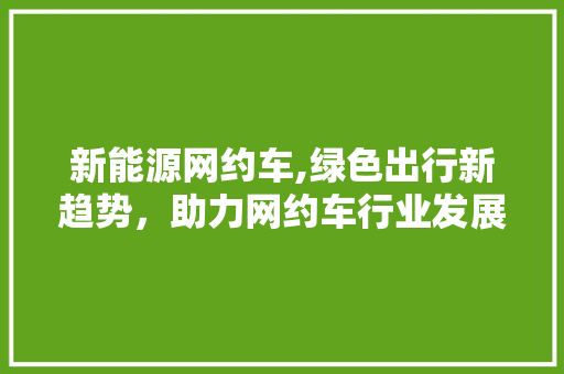新能源网约车,绿色出行新趋势，助力网约车行业发展