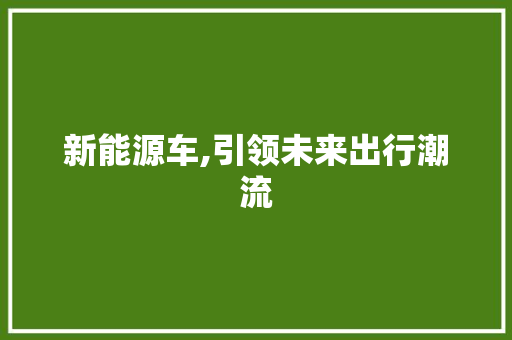 新能源车,引领未来出行潮流 汽车轮胎