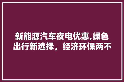 新能源汽车夜电优惠,绿色出行新选择，经济环保两不误 自动驾驶