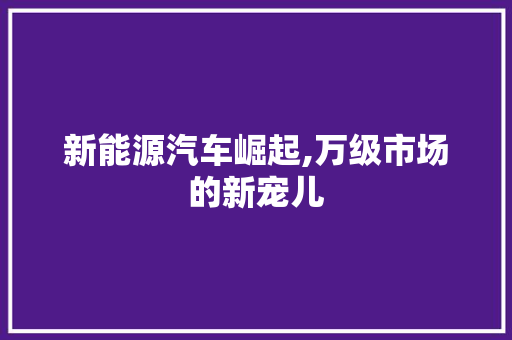 新能源汽车崛起,万级市场的新宠儿