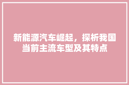 新能源汽车崛起，探析我国当前主流车型及其特点