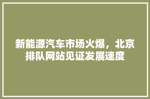 新能源汽车市场火爆，北京排队网站见证发展速度