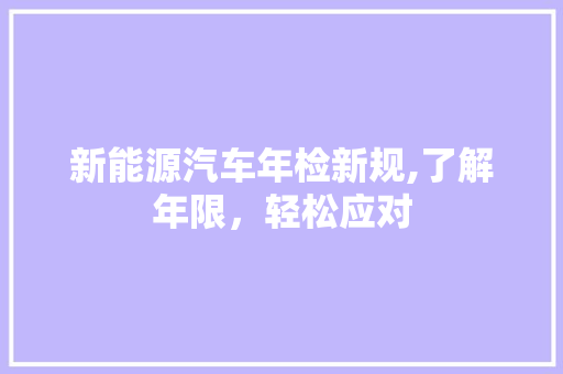 新能源汽车年检新规,了解年限，轻松应对