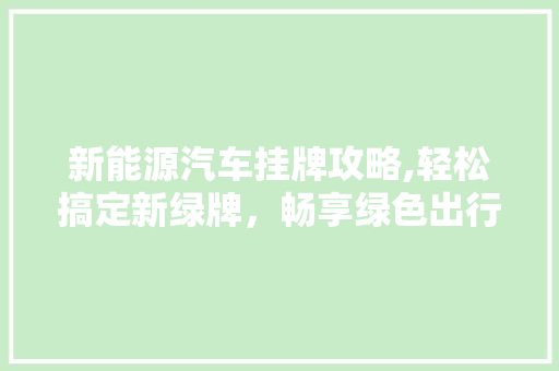 新能源汽车挂牌攻略,轻松搞定新绿牌，畅享绿色出行