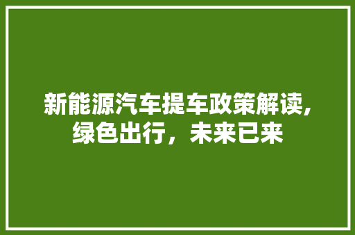 新能源汽车提车政策解读,绿色出行，未来已来 车型评测