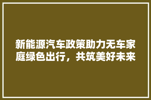 新能源汽车政策助力无车家庭绿色出行，共筑美好未来 智能驾驶