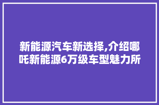新能源汽车新选择,介绍哪吒新能源6万级车型魅力所在